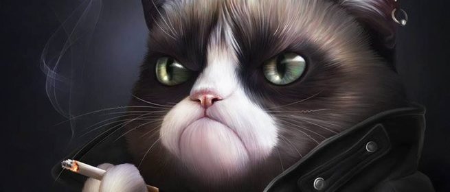 Курящий кот