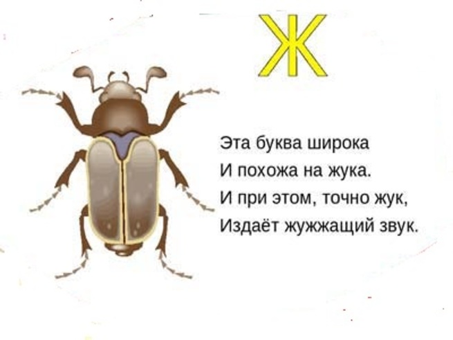 В предложении трудно находить жуков и лягушек