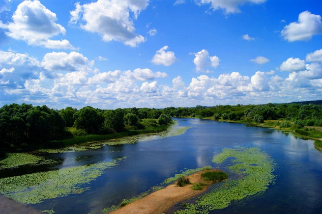 Река воронеж фото