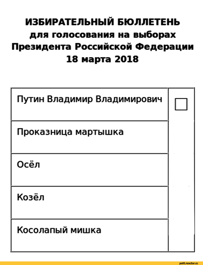 Бланк для голосования образец