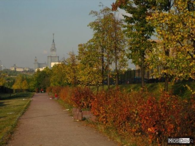 Москва территория МГУ осень сквер