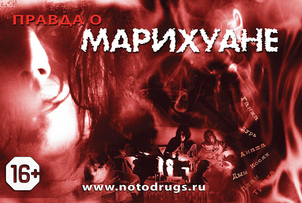 Фильм вся правда о марихуане пирог с коноплей фото