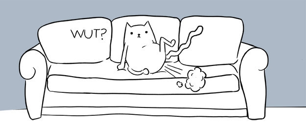 Кошки пукают