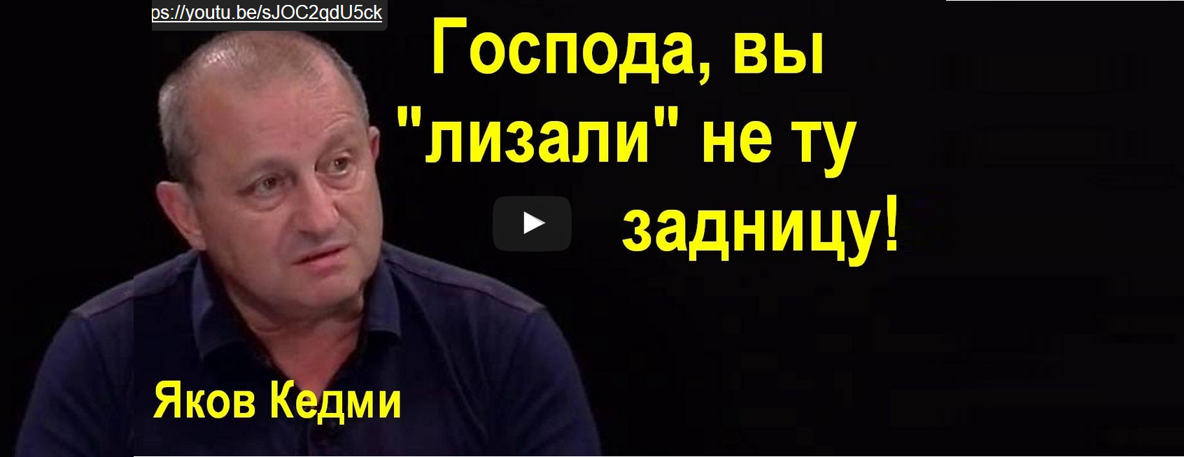 Читать высказывания Якова Кедми о рекламе в программе Сатановского