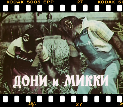 Дони и микки 1973