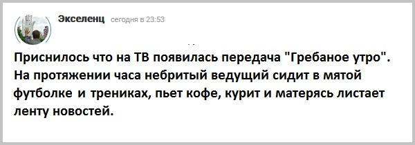 Конт экселенц