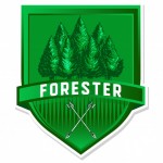 forester_spb